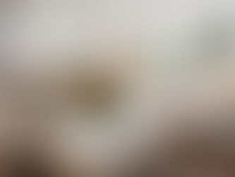 Mid Century Modern ve Country sentezi harika bir ev tasarımı incelemesi | İlhamlık