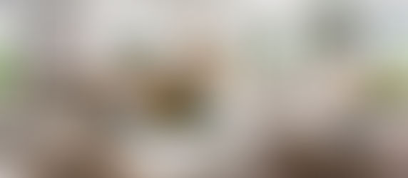 Mid Century Modern ve Country sentezi harika bir ev tasarımı incelemesi | İlhamlık