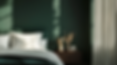 mimarintersi_elegant_bedroom_with_a_sexy_atmosphere._dark_green_05d4fcfe-68cd-40a4-b3d8-65